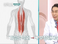 [이광연한의원 …