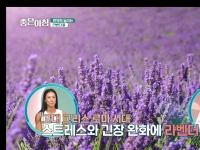 [이광연한의원 …