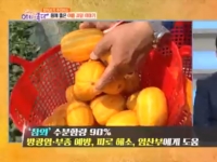 KBS 아침이 좋다…