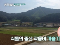 [이광연한의원 …