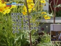 [이광연한의원 …