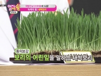 MBN 엄지의 제왕…